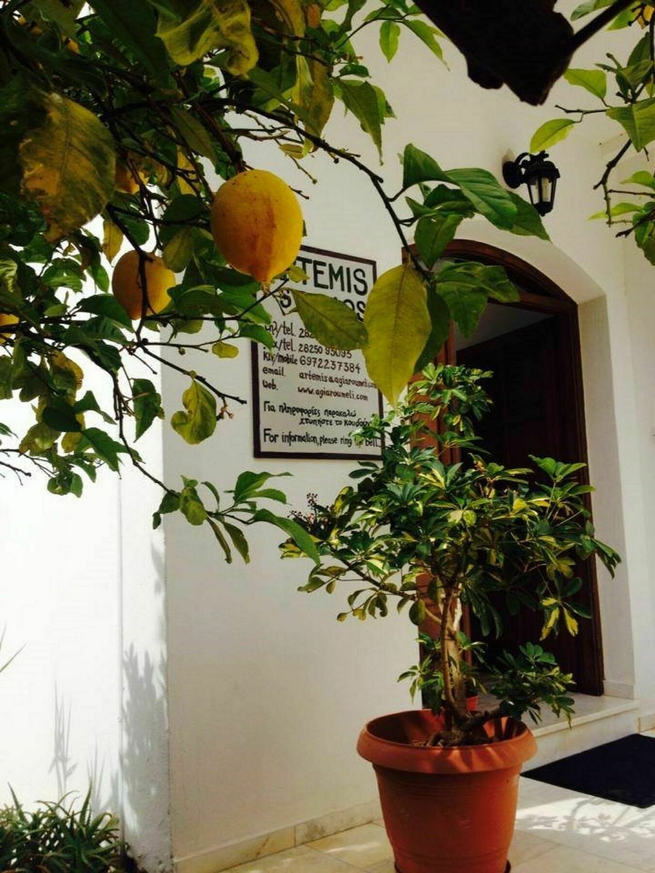 Artemis Studios Agia Ruméli Exterior foto